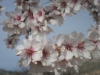 PICT0206 [640x480]
